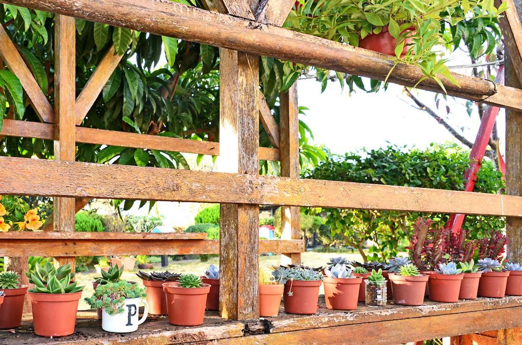 Taichung Xinshe Garden Life Homestay B&B Εξωτερικό φωτογραφία