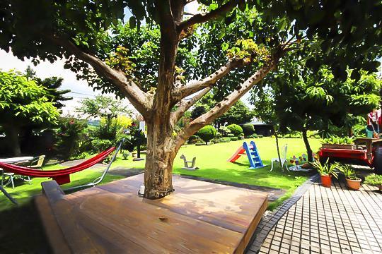 Taichung Xinshe Garden Life Homestay B&B Εξωτερικό φωτογραφία