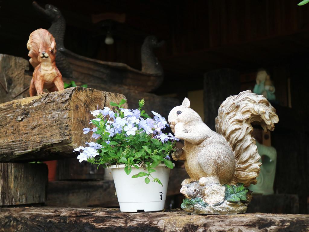 Taichung Xinshe Garden Life Homestay B&B Εξωτερικό φωτογραφία