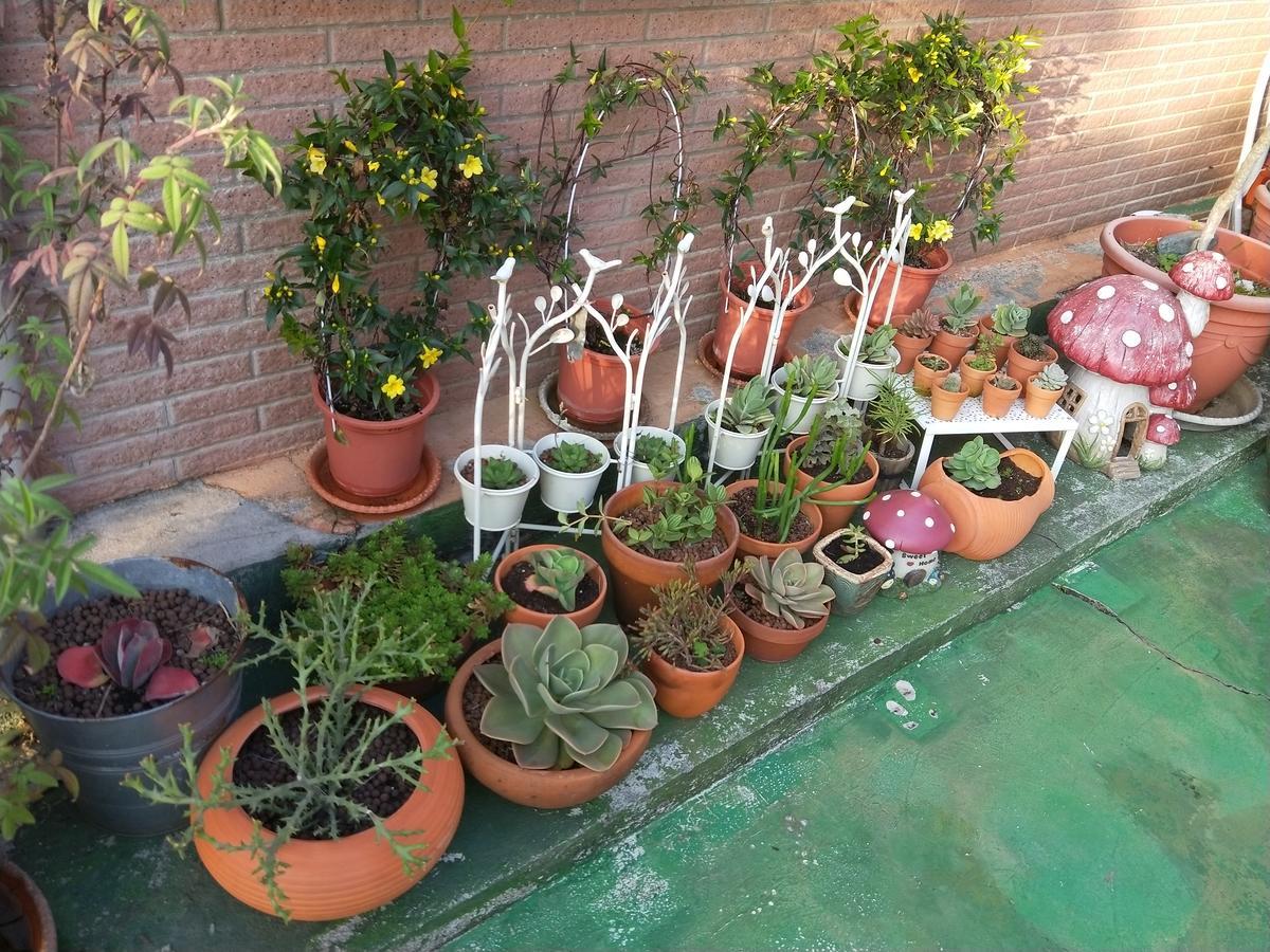 Taichung Xinshe Garden Life Homestay B&B Εξωτερικό φωτογραφία